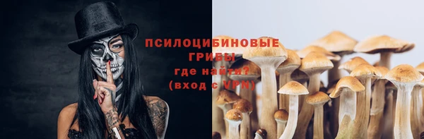 ПСИЛОЦИБИНОВЫЕ ГРИБЫ Балабаново