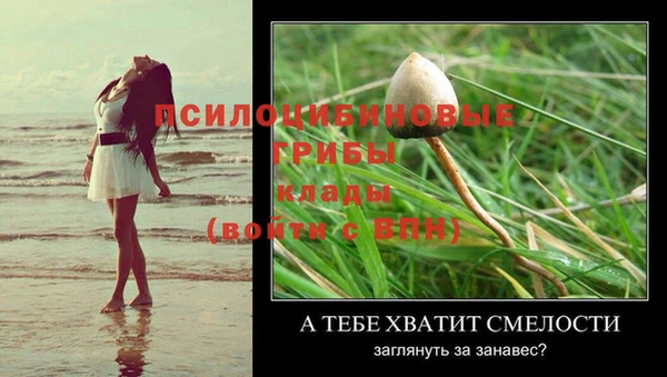 ПСИЛОЦИБИНОВЫЕ ГРИБЫ Балабаново