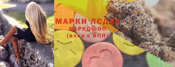 ПСИЛОЦИБИНОВЫЕ ГРИБЫ Балабаново
