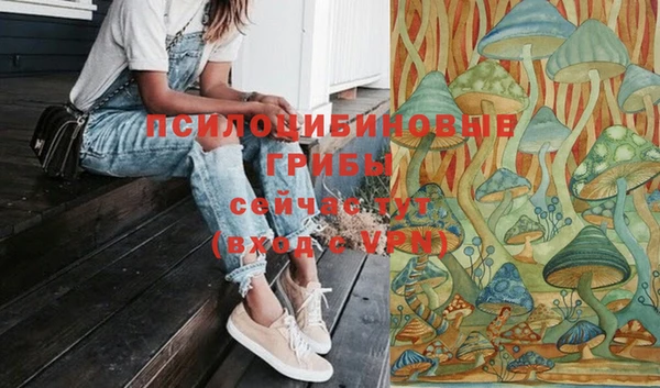 ПСИЛОЦИБИНОВЫЕ ГРИБЫ Балабаново